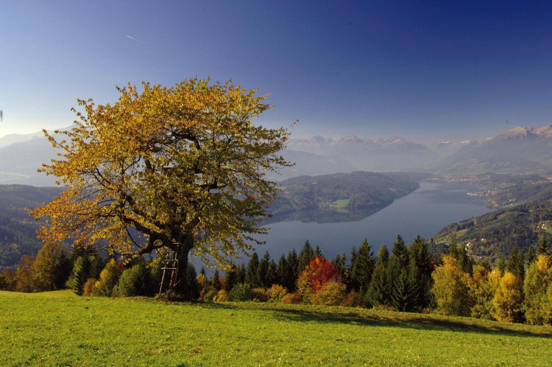 Gasthof Pension Perauer Lieserhofen Екстериор снимка