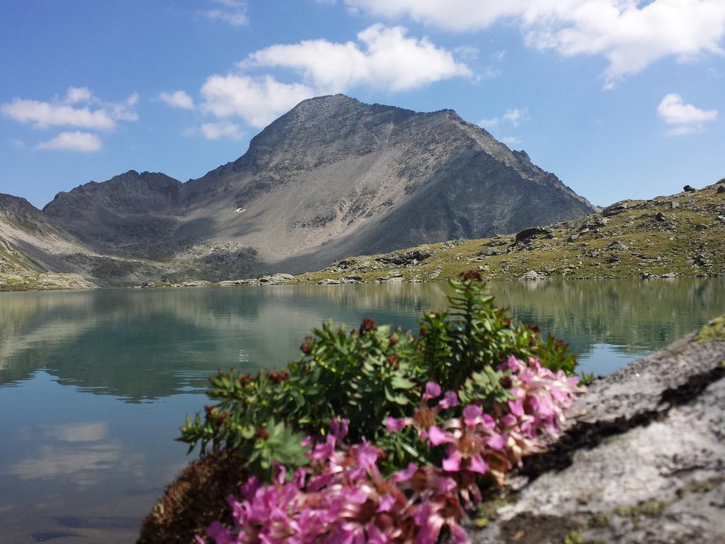 Gasthof Pension Perauer Lieserhofen Екстериор снимка